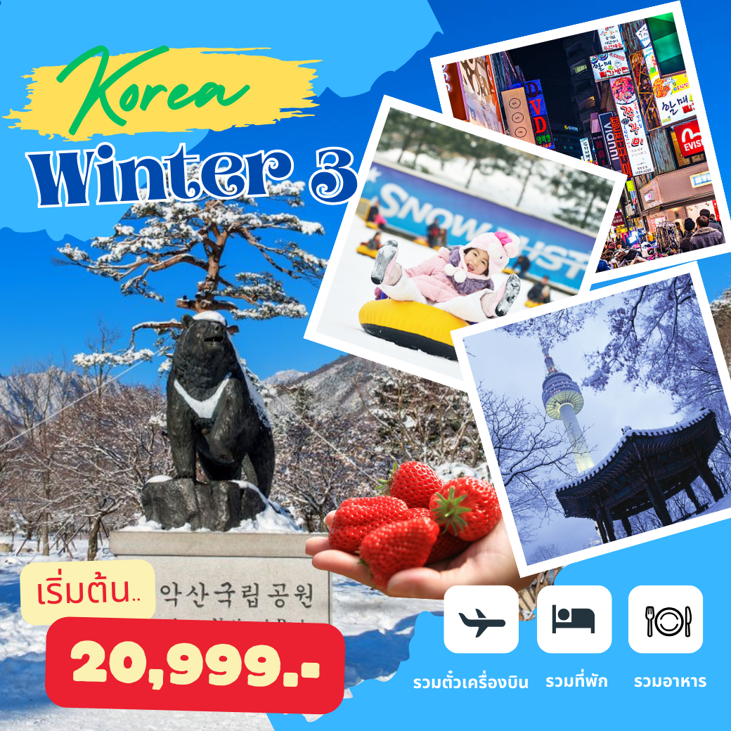 ทัวร์เกาหลี สัมผัสหิมะ เทศกาลฤดูหนาว WINTER SEORAKSAN