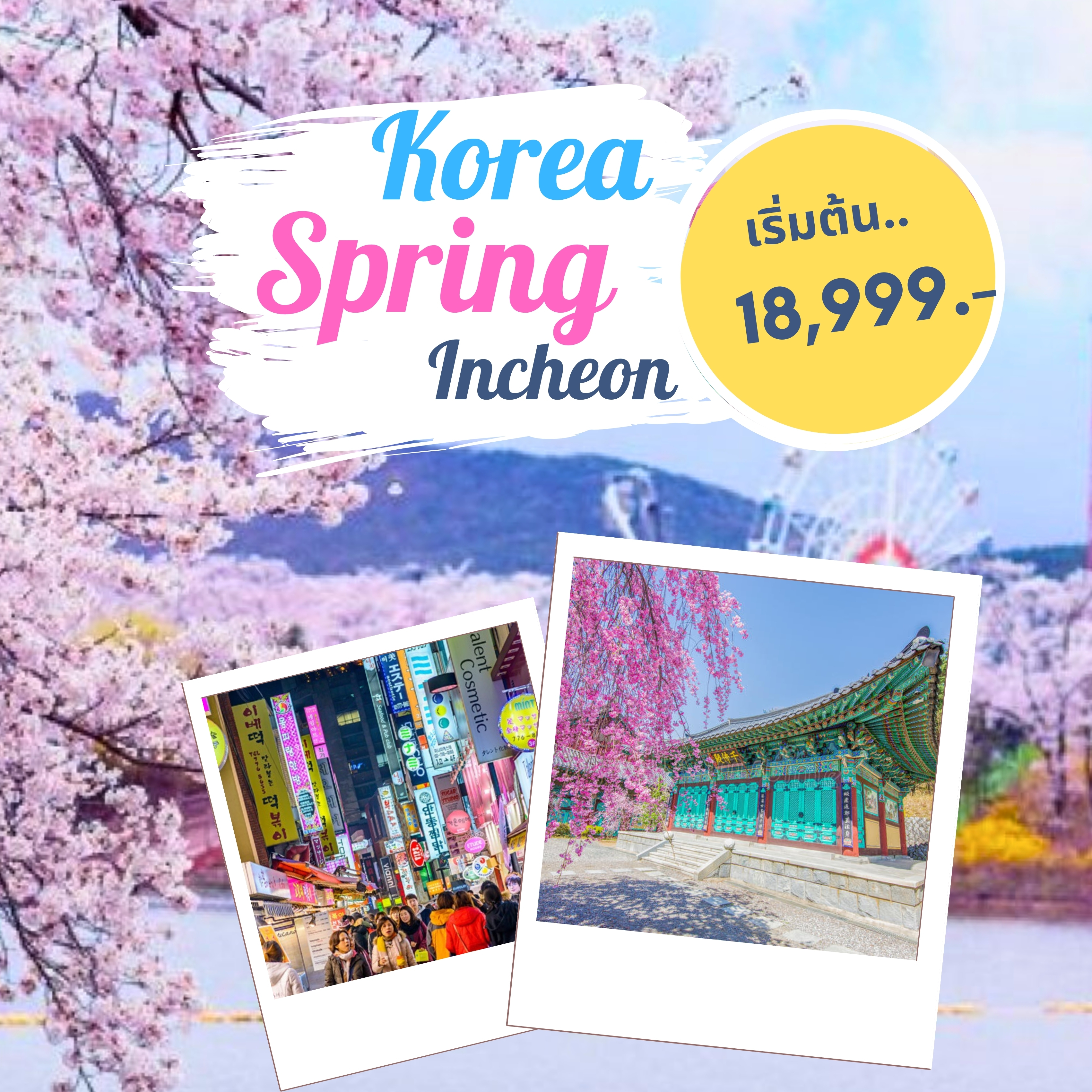 ทัวร์เกาหลี Spring Incheon  ปั่นเรียลไบค์ เอเวอร์แลนด์ กรุงโซล ช้อปปิ้งตลาดเมียงดงและฮงแด