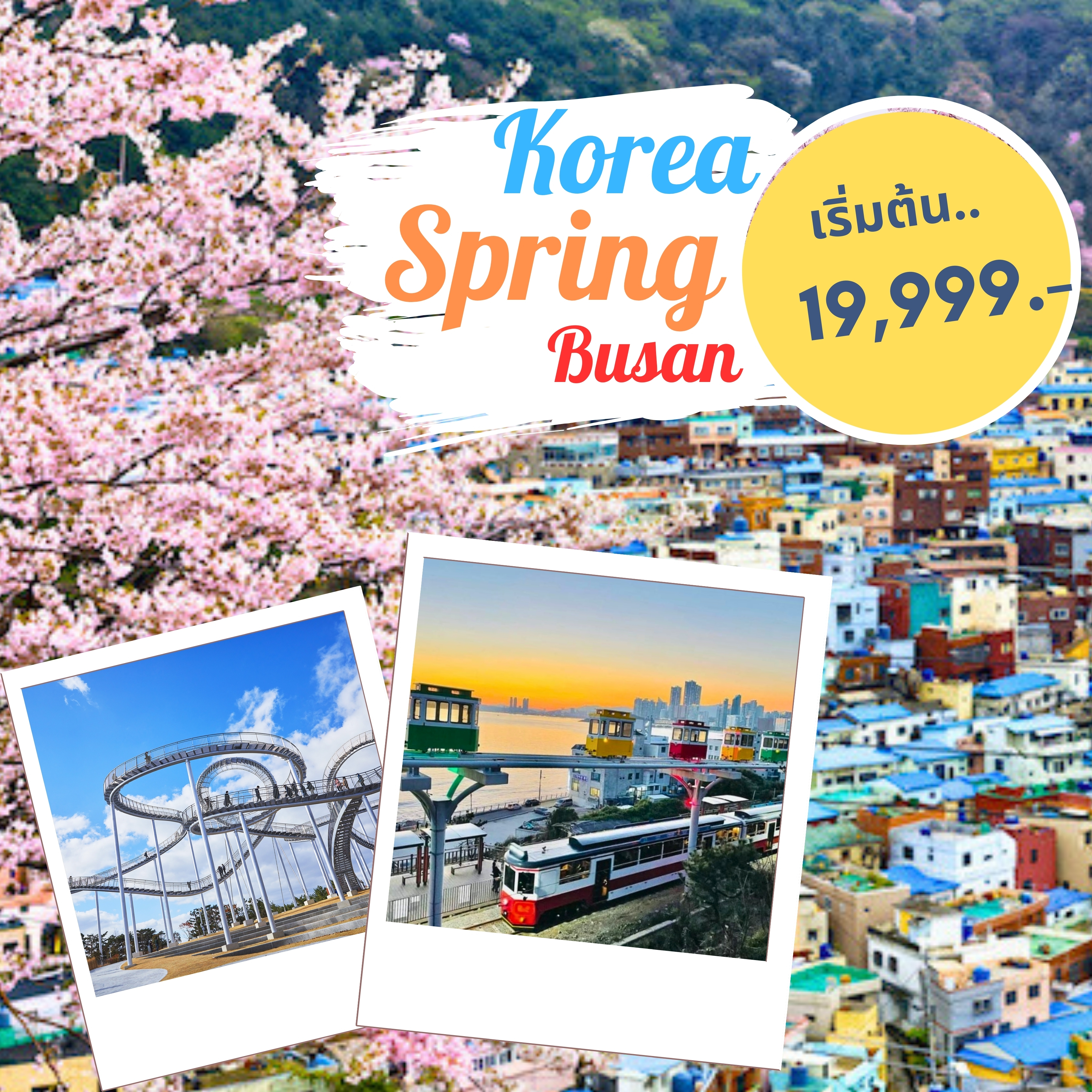 ทัวร์เกาหลี Korea Spring Busan เที่ยวเมืองสุดชิค 