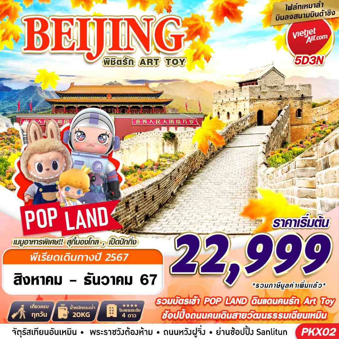 ทัวร์จีน เหมาลำบินลงต้าซิง พิชิตรัก ART TOY 5วัน 3คืน (VZ)