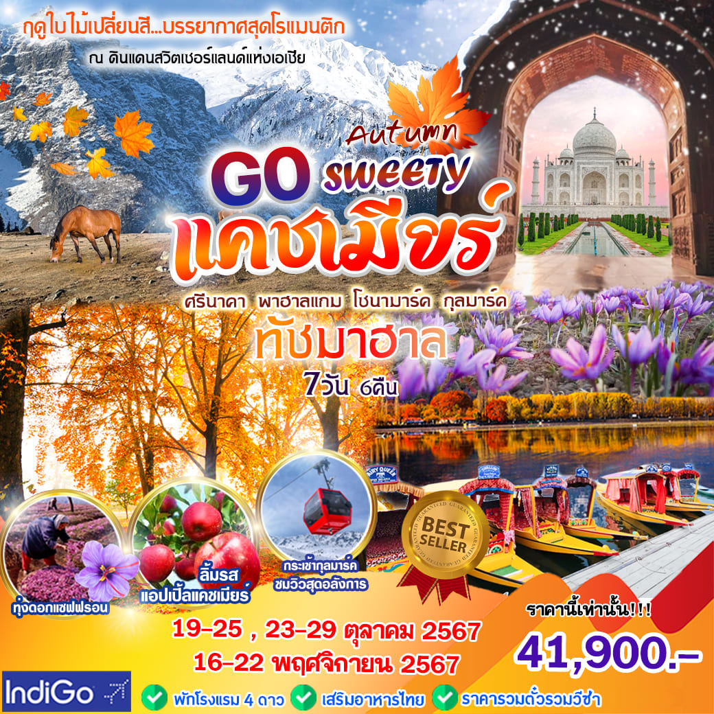 ทัวร์อินเดีย Autumn Go sweety Kashmir 7วัน 6คืน (6E)