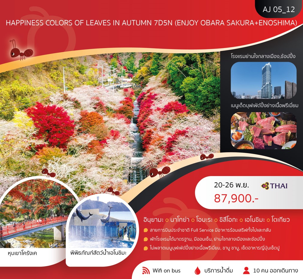 ทัวร์ญี่ปุ่น HAPPINESS COLORS OF LEAVES IN AUTUMN 7วัน 5คืน (TG)